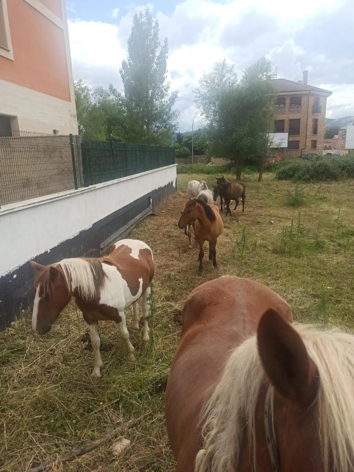Alojamiento Fiordos Leoneses Bonar Εξωτερικό φωτογραφία